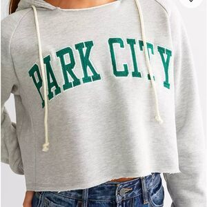 Fitz + Eddi Parck City Cropped Hoodie Sz L Gray Raw Hem Fleece Lined